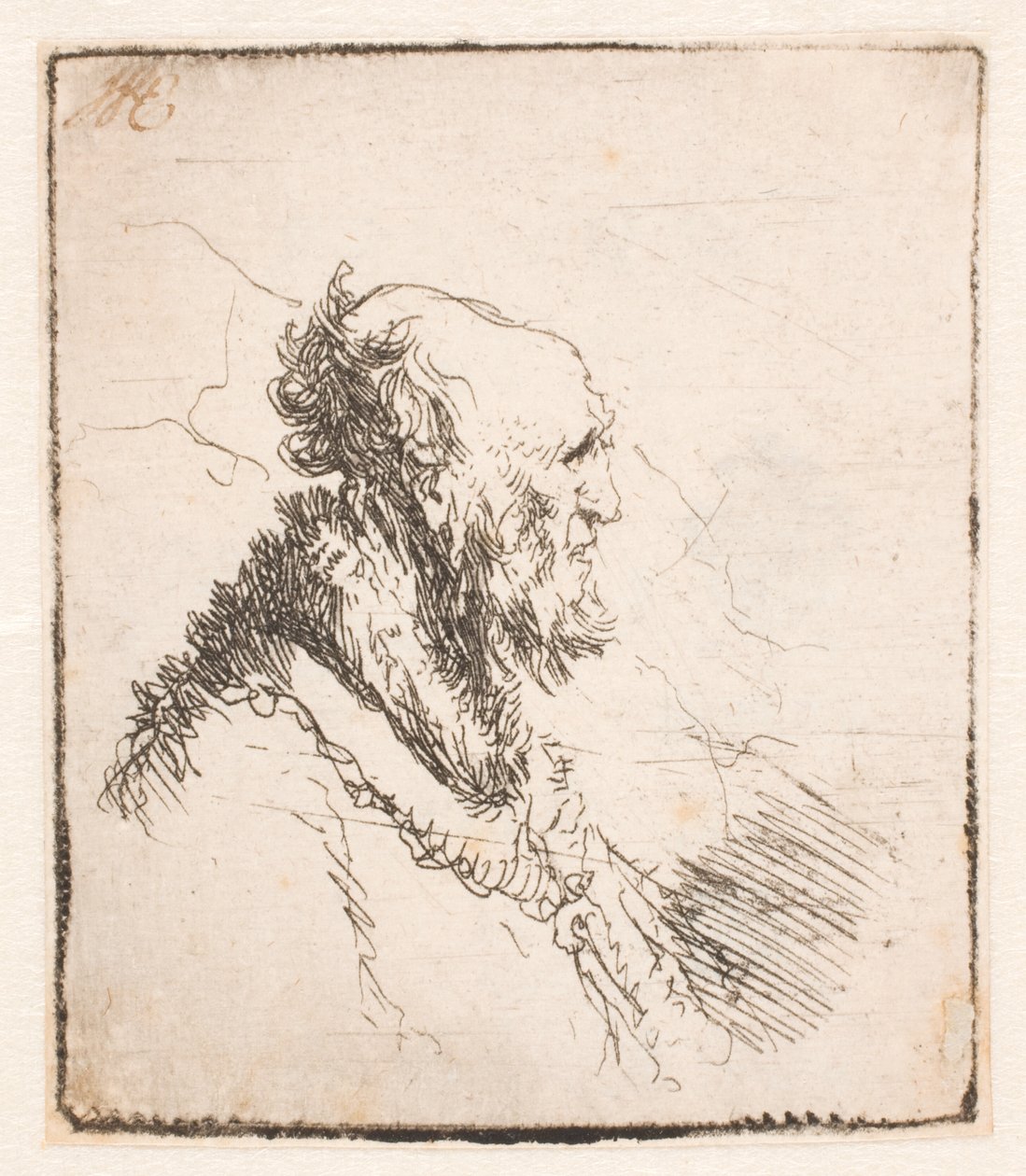 Holohlavý starý muž s krátkým plnovousem, z profilu vpravo od Rembrandt van Rijn