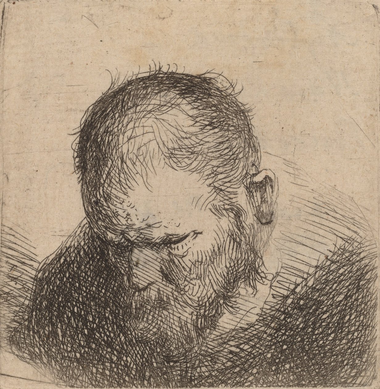 Bearded Man Looking Down, možná 1631. od Rembrandt van Rijn