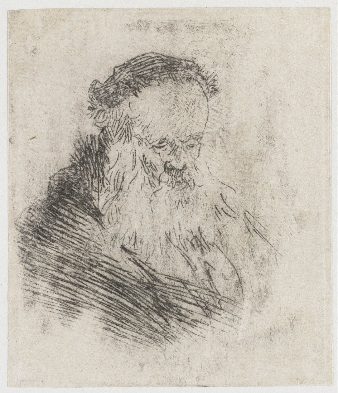 Vousatý starý muž s vysokým čelem od Rembrandt van Rijn