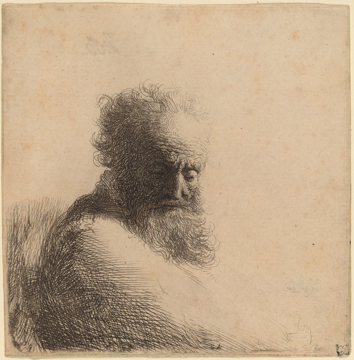 Busta starého vousatého muže, dívá se dolů, tři čtvrtiny vpravo od Rembrandt van Rijn