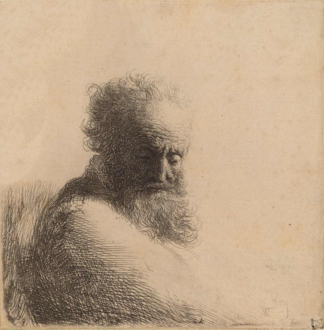 Busta starého vousatého muže, dívá se dolů, tři čtvrtiny vpravo, 1631. od Rembrandt van Rijn