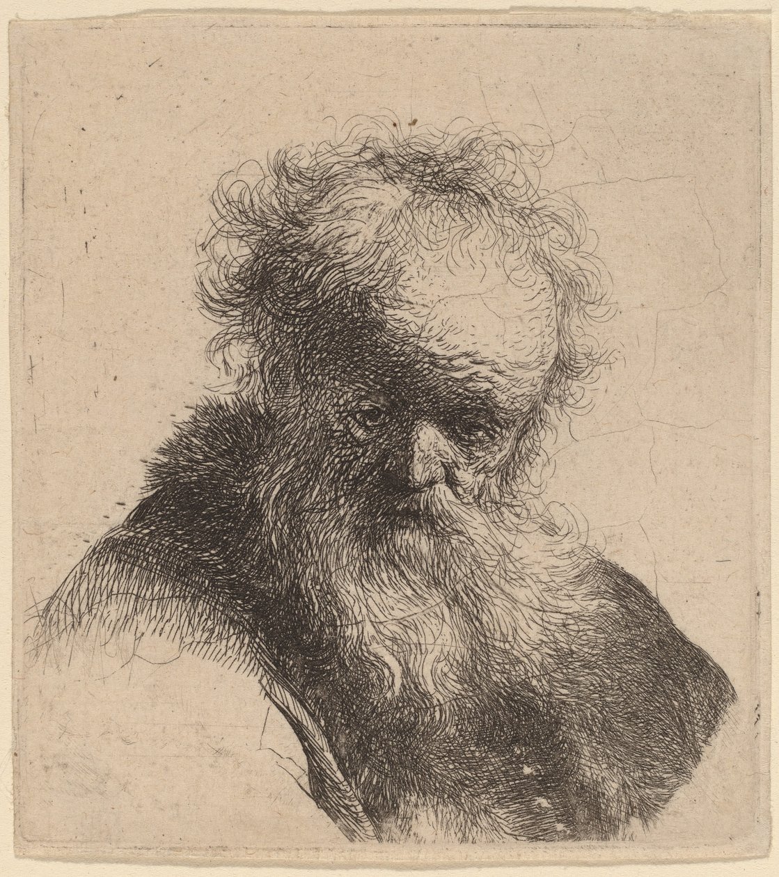 Busta starého muže s vlajícím plnovousem a bílým rukávem od Rembrandt van Rijn