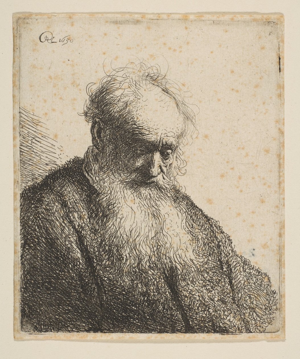Busta starého muže s vlajícími vousy: Hlava nakloněná tři čtvrtiny vpravo, 1630. od Rembrandt van Rijn