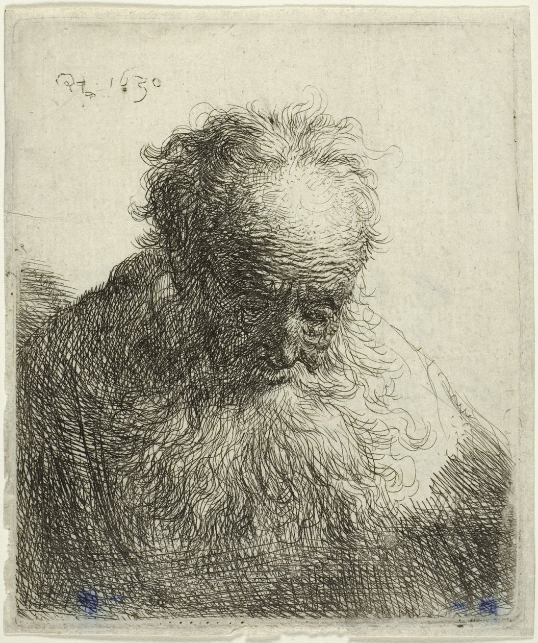 Busta starého muže s vlajícím plnovousem: Hlava skloněná dopředu: Levé rameno nezastíněné od Rembrandt van Rijn