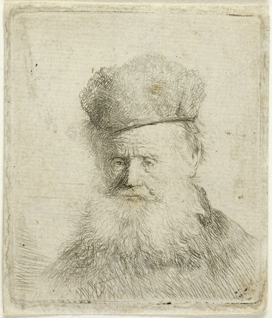 Busta starého muže s kožešinovou čepicí a vlajícími vousy, téměř celý obličej od Rembrandt van Rijn