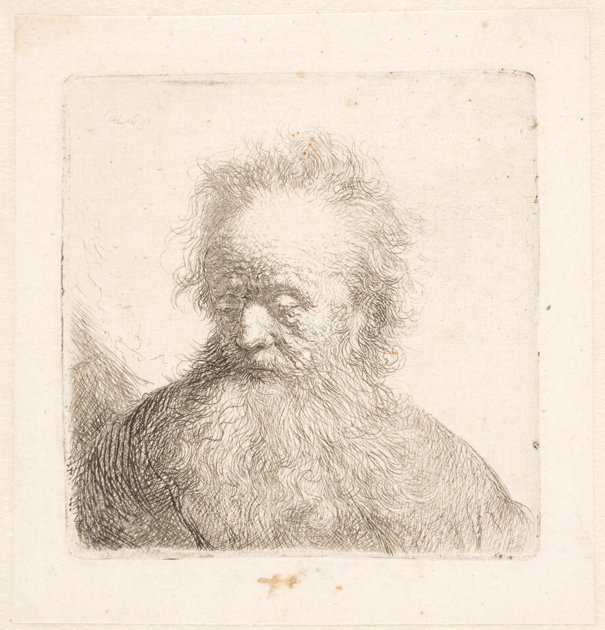 Busta starého muže s rozpuštěným vousem: hlava téměř vzpřímená: oči sklopené: pohled mírně doleva od Rembrandt van Rijn