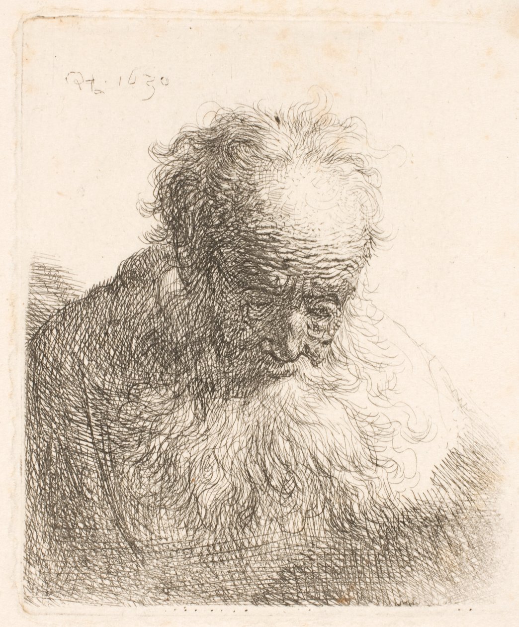 Busta starého muže s rozpuštěnou bradou: hlava skloněná dopředu; levé rameno není ve stínu od Rembrandt van Rijn