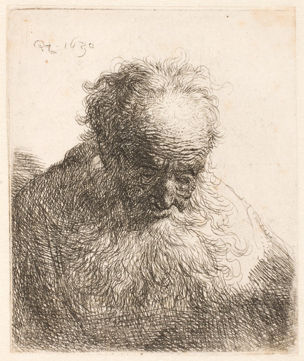 Busta starého muže s rozpuštěnou bradou: hlava skloněná dopředu: levé rameno není ve stínu od Rembrandt van Rijn