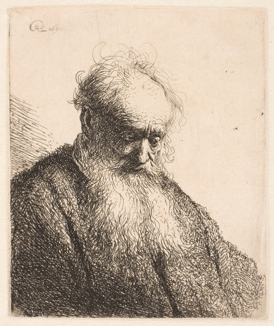 Busta starého muže s rozpuštěnou bradou: hlava nakloněná o tři čtvrtiny doprava od Rembrandt van Rijn