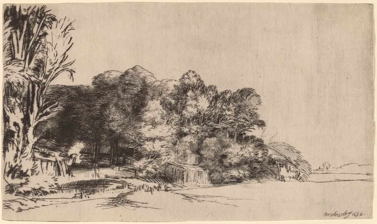 Trs stromů s výhledem od Rembrandt van Rijn
