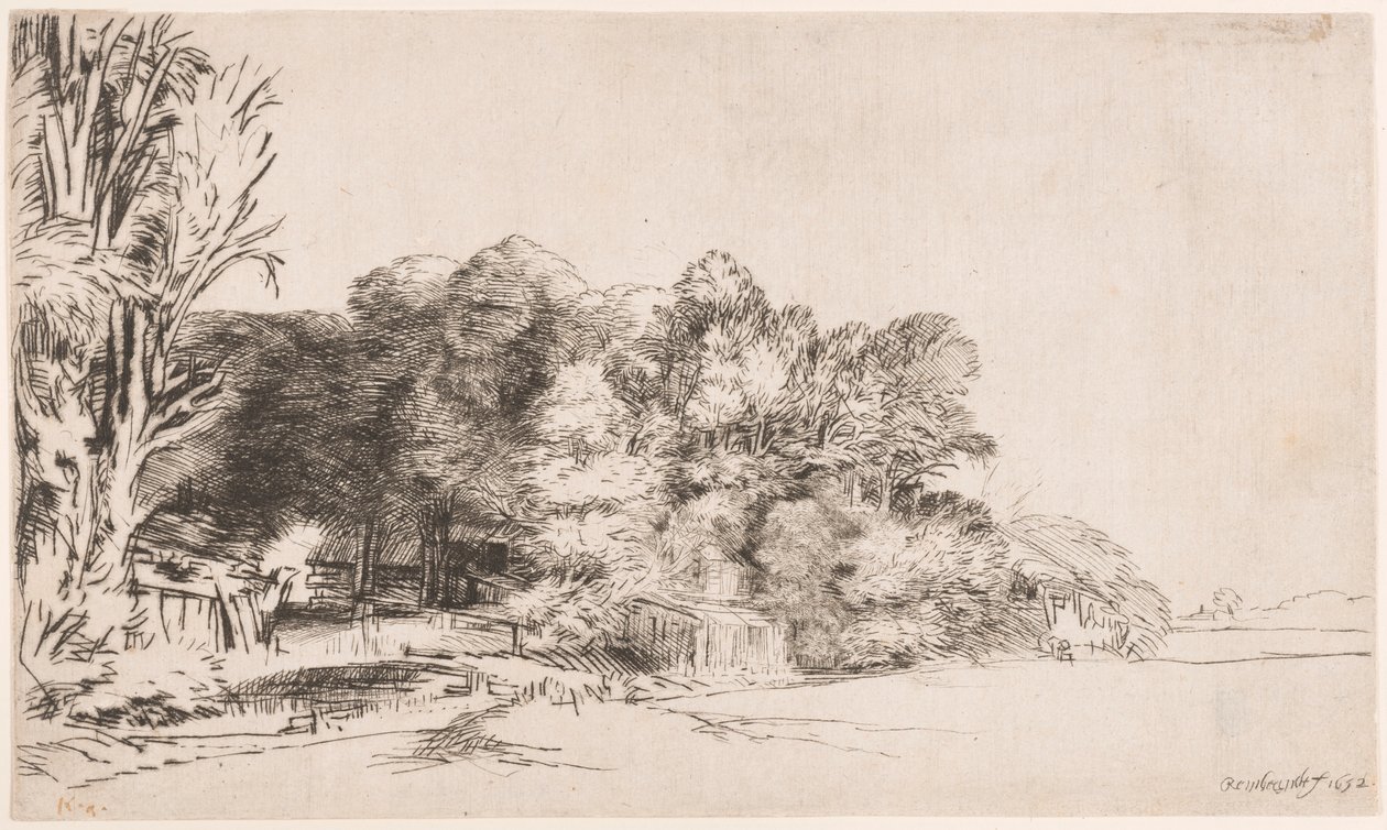 Trs stromů s výhledem od Rembrandt van Rijn