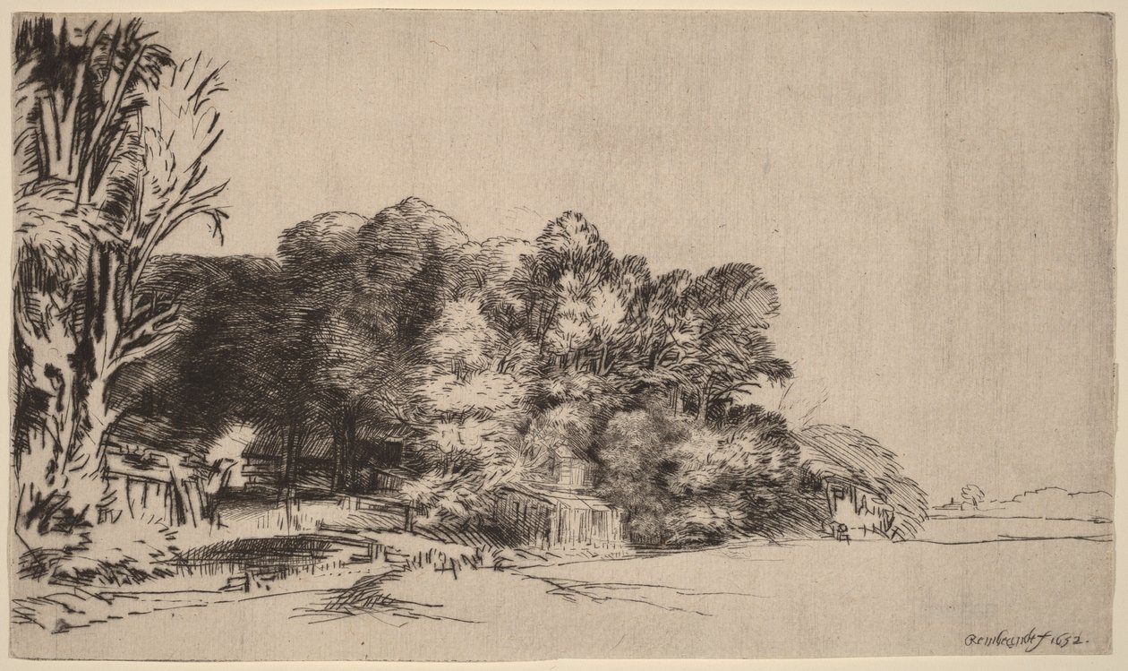 Skupina stromů s výhledem od Rembrandt van Rijn