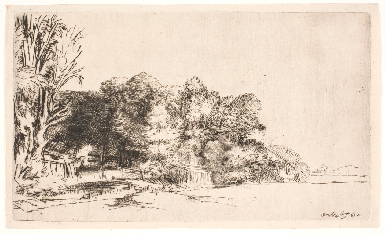 Shluk stromů s výhledem od Rembrandt van Rijn