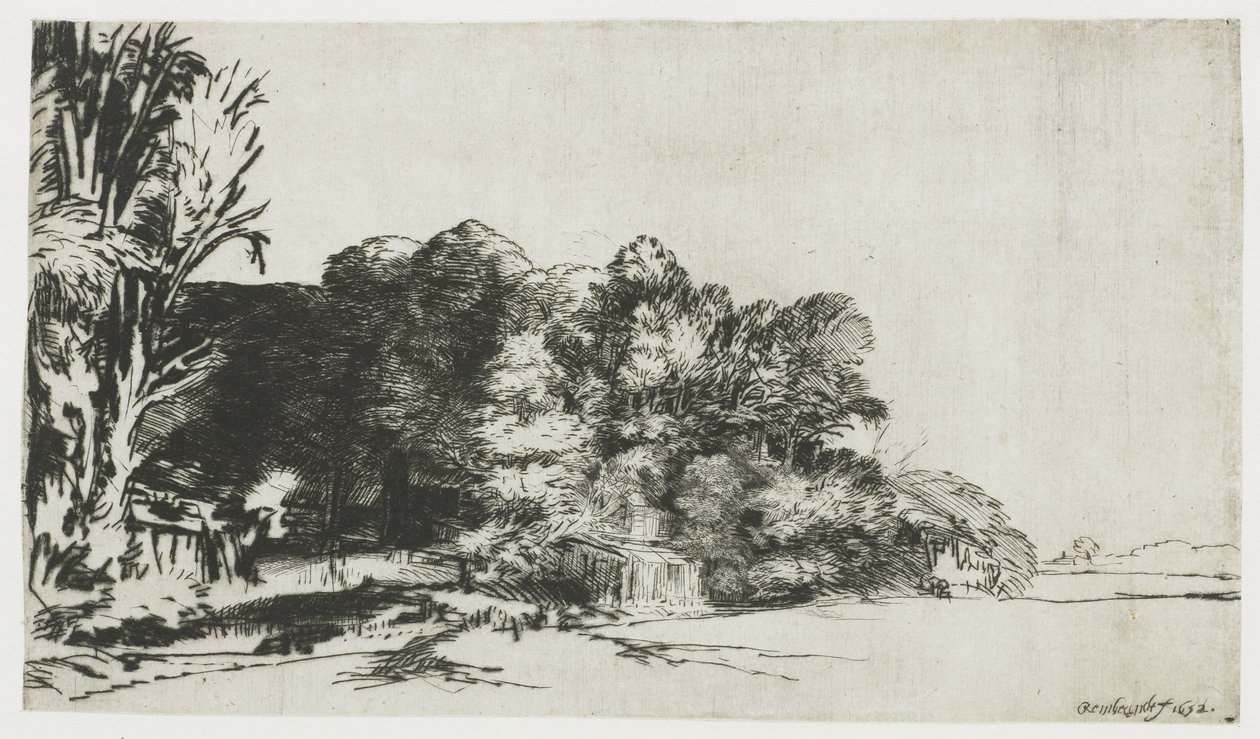 Shluk stromů s výhledem od Rembrandt van Rijn