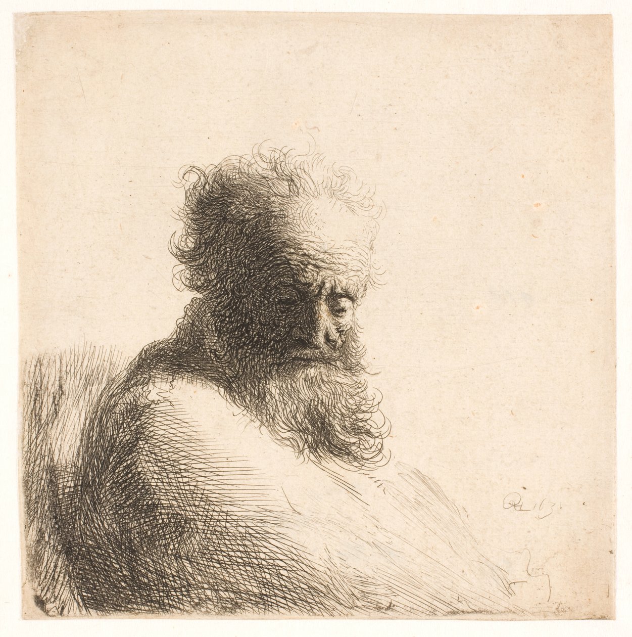 Starý vousatý muž. poprsí od Rembrandt van Rijn