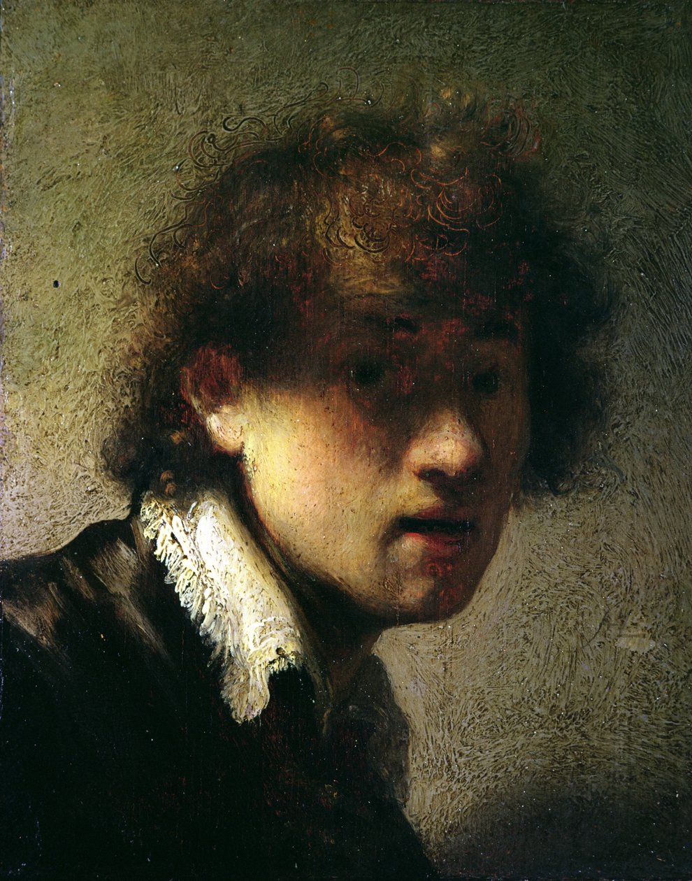 Hlava mladého muže nebo autoportrét, 1629 od Rembrandt van Rijn