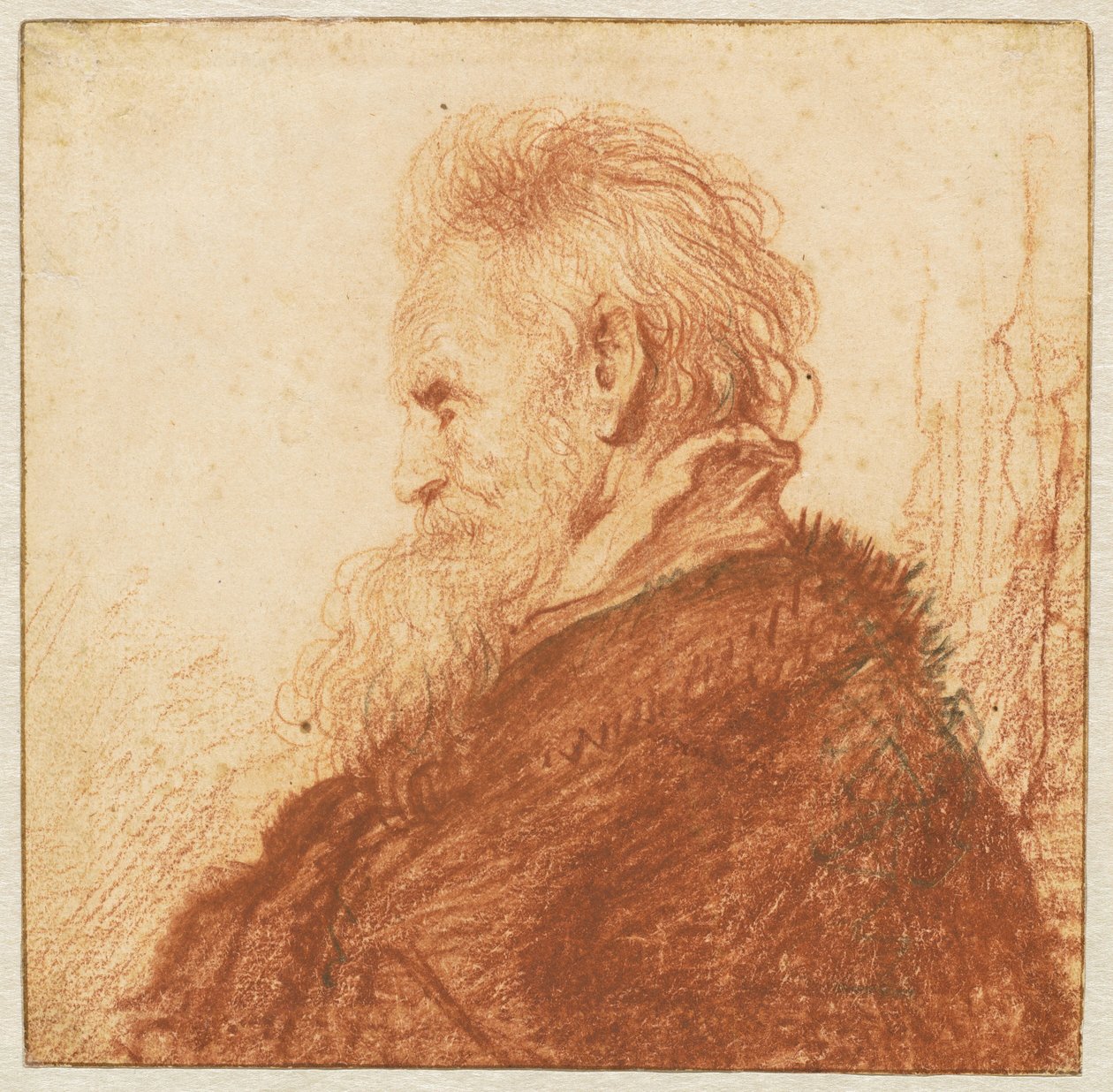 Hlava starého muže (recto) od Rembrandt van Rijn