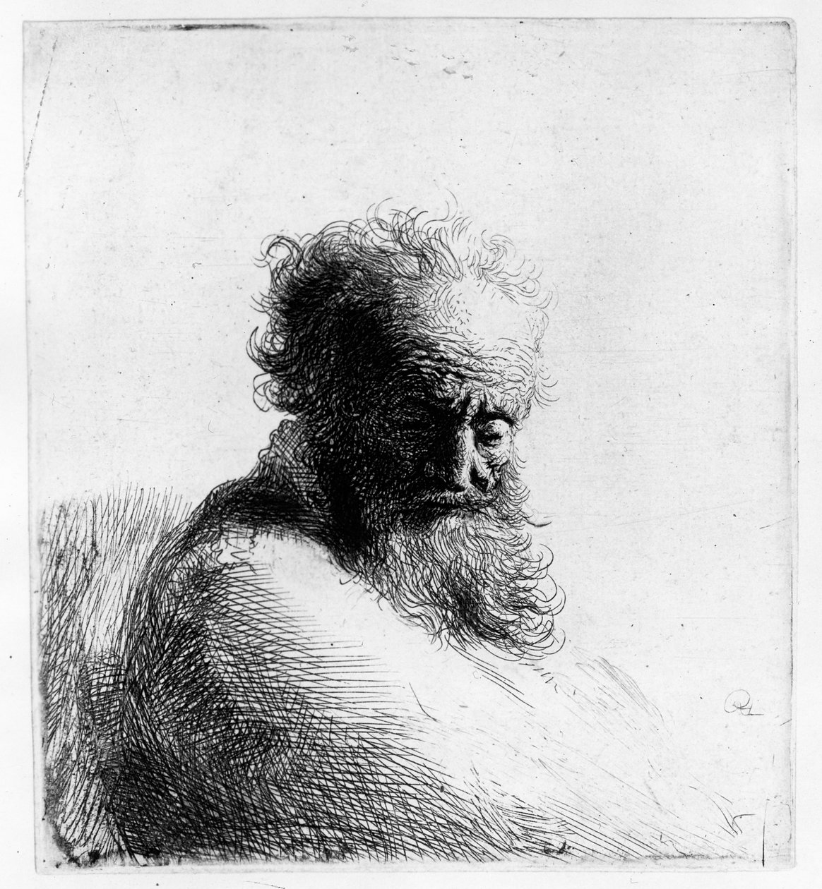 Hlava starého muže, 1631 od Rembrandt van Rijn