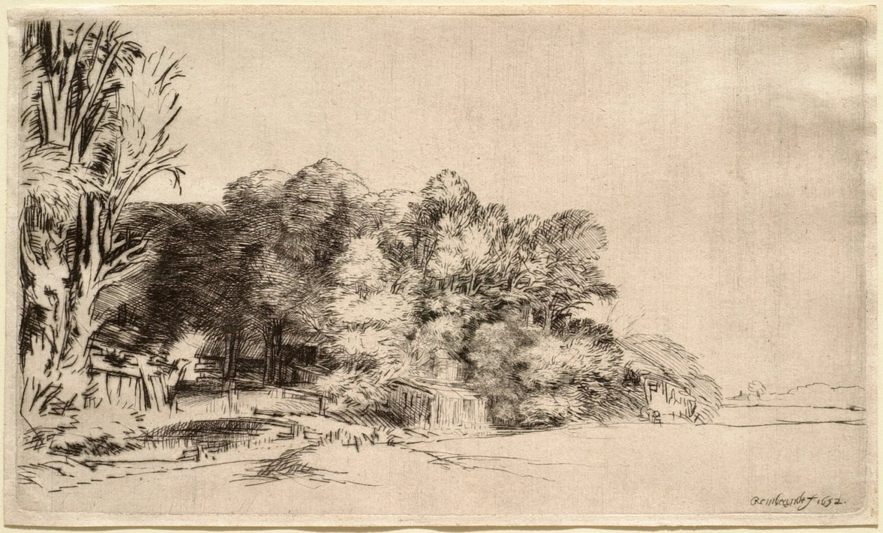Krajina se skupinou stromů od Rembrandt van Rijn