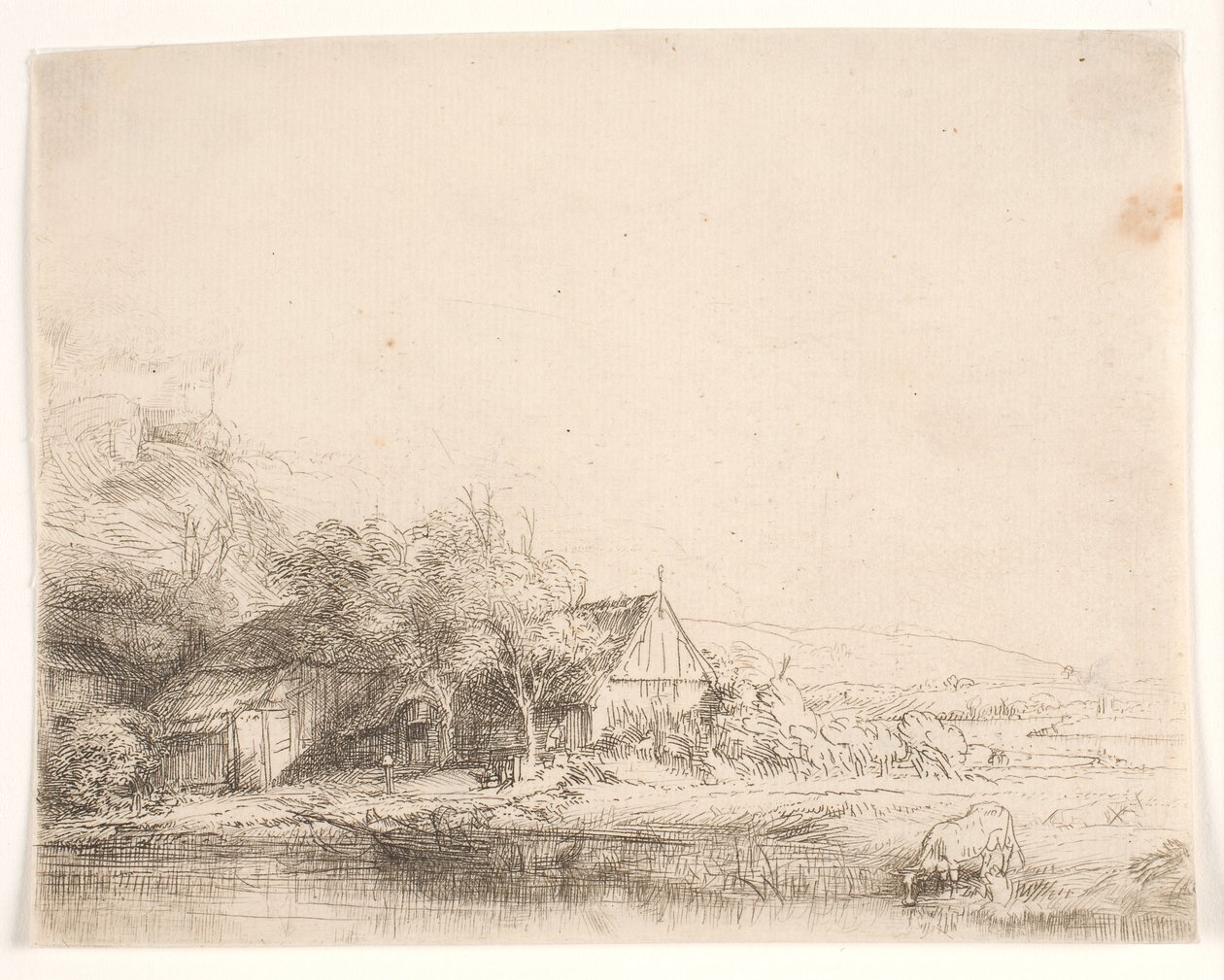 Krajina s krávou, která se napájí od Rembrandt van Rijn