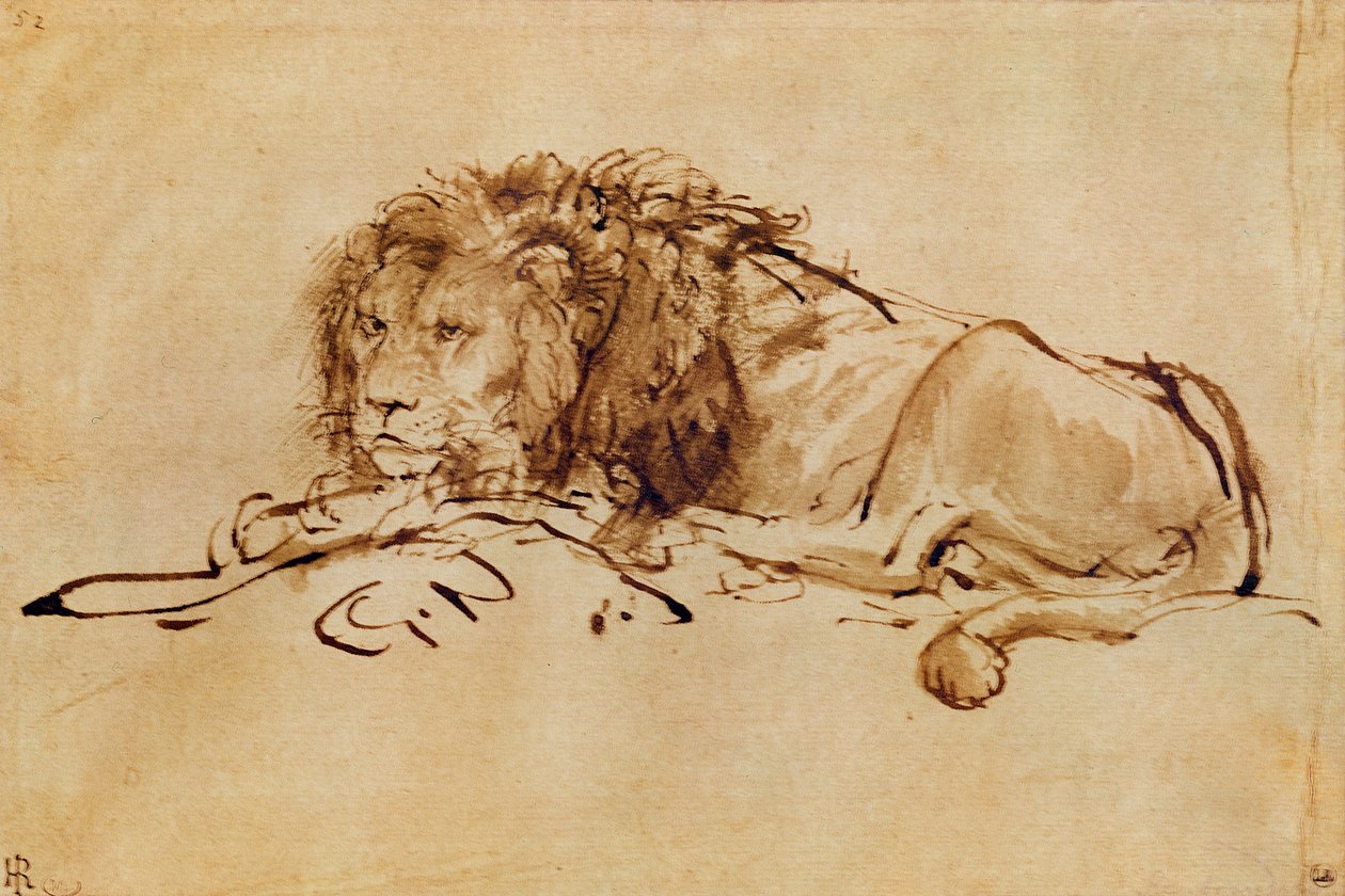 Odpočívající lev (pero a tuš na papíře) od Rembrandt van Rijn