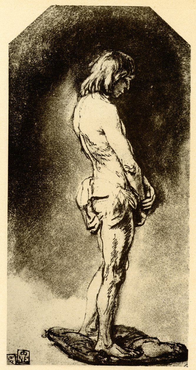 Mužský akt od Rembrandt van Rijn