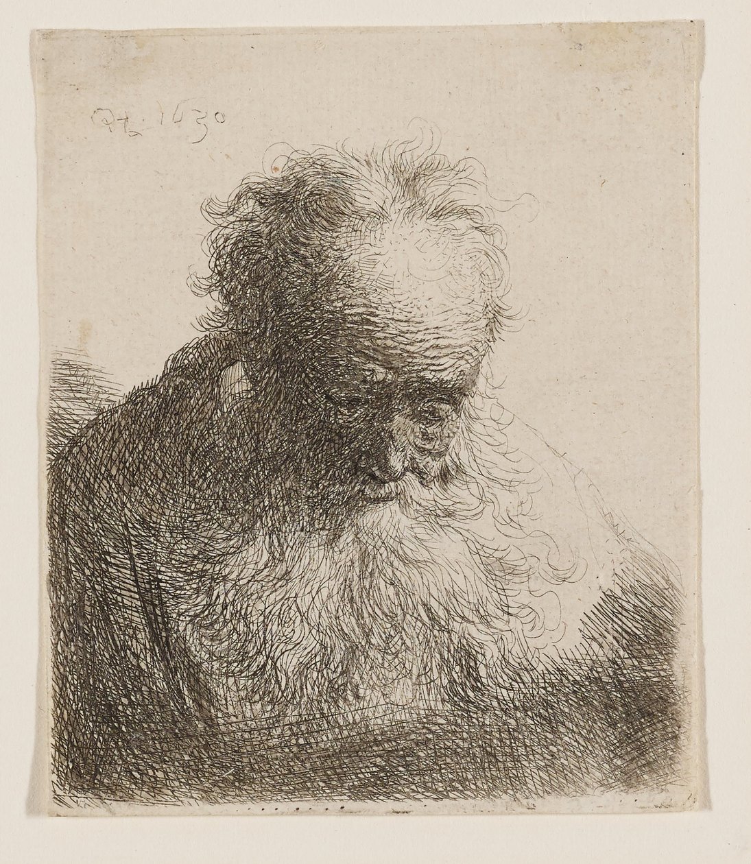 Stařec s dlouhou bradou (hlava skloněná dopředu, levé rameno nezastíněné) od Rembrandt van Rijn