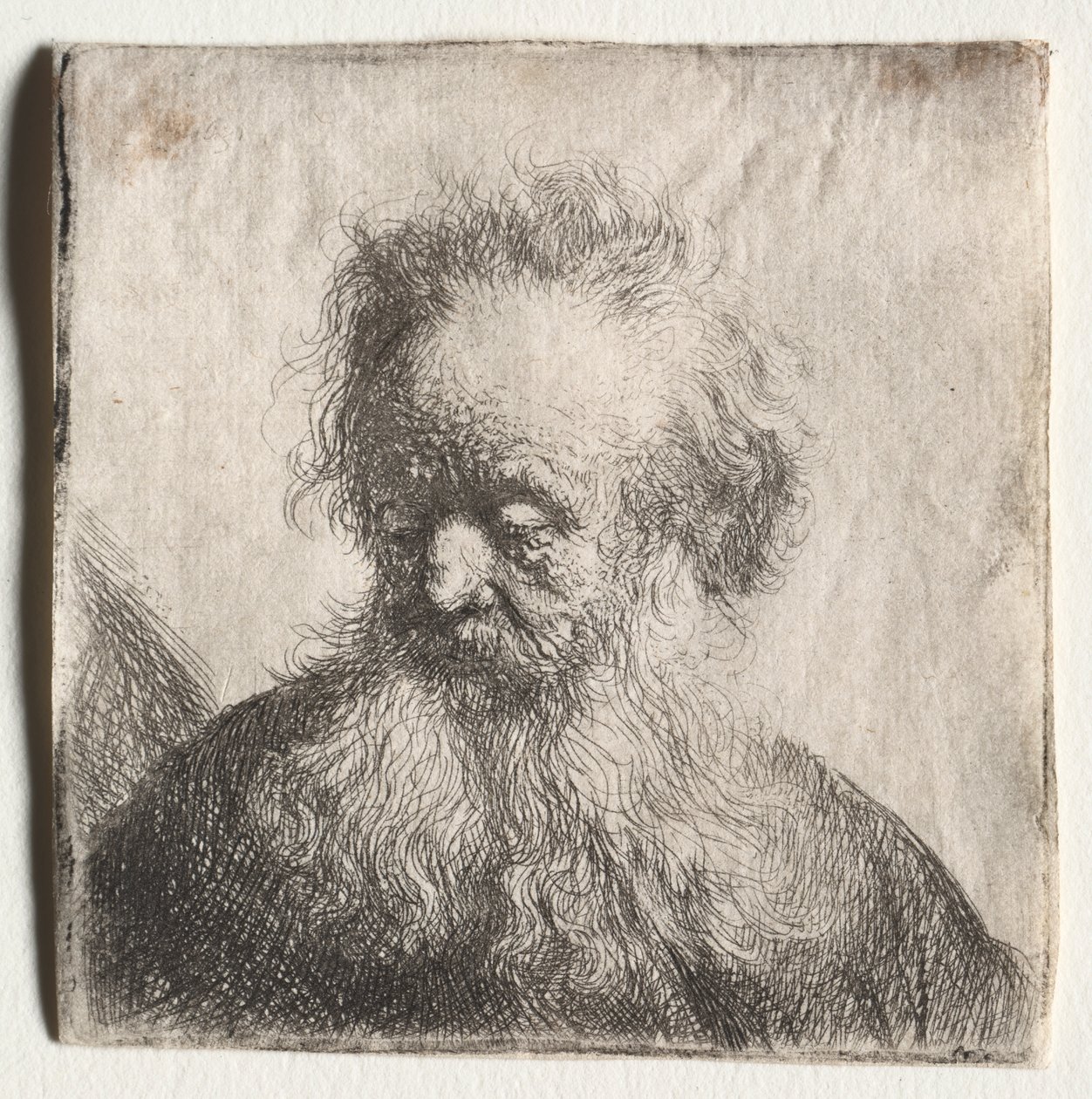Starý muž s vlajícím plnovousem: Poprsí od Rembrandt van Rijn