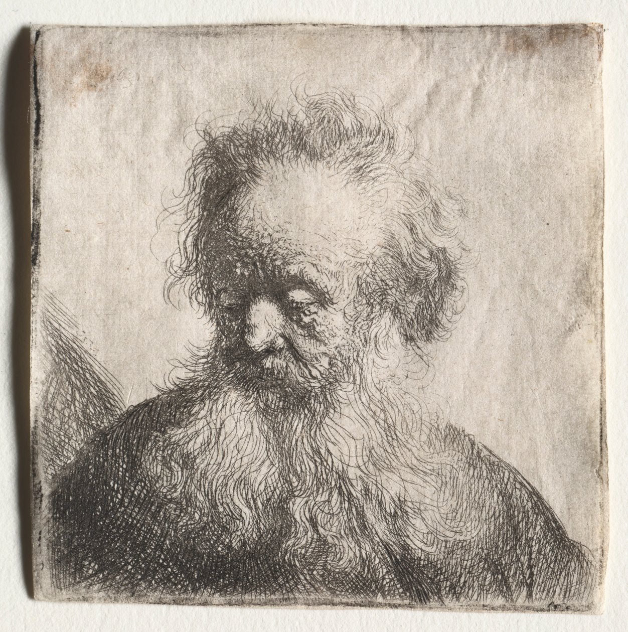 Starý muž s vlajícím vousem: Busta, 1631. od Rembrandt van Rijn