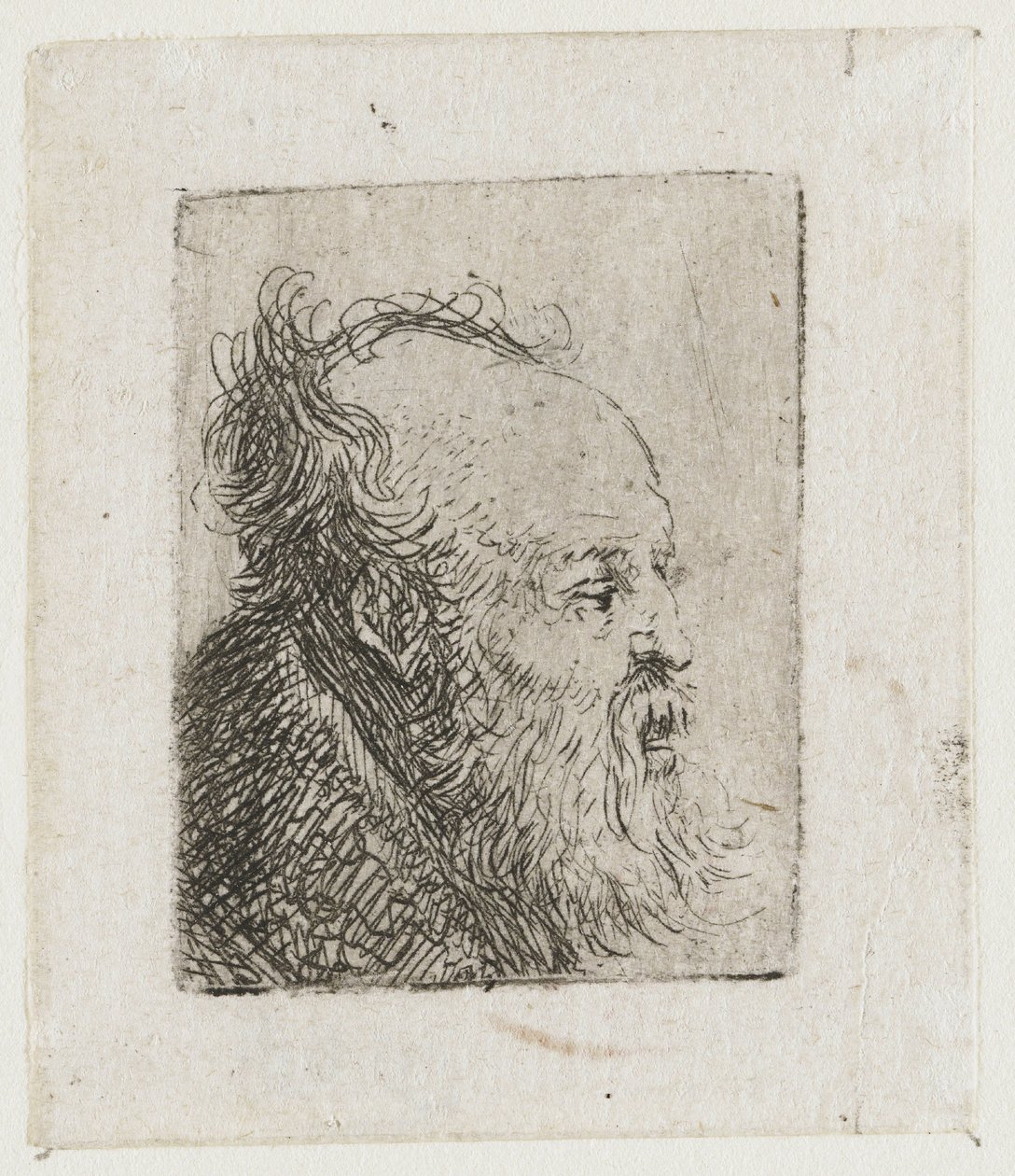 Starý vousatý muž s pootevřenými ústy od Rembrandt van Rijn
