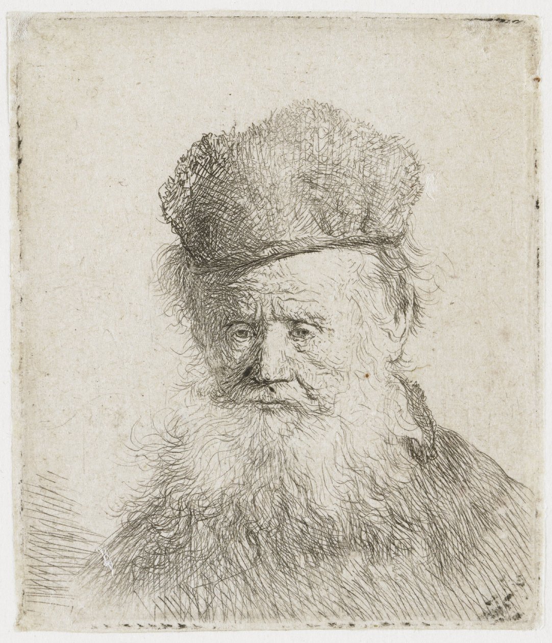 Starý muž s kožešinovou čepicí a dlouhým vousem od Rembrandt van Rijn