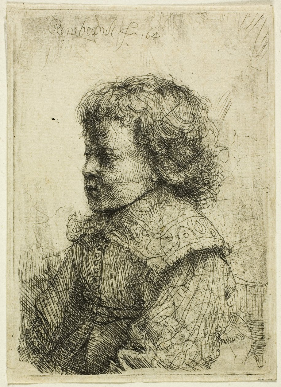 Portrét chlapce od Rembrandt van Rijn