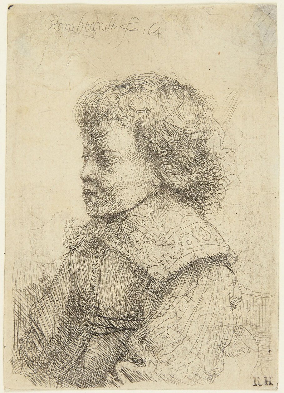 Portrét chlapce od Rembrandt van Rijn