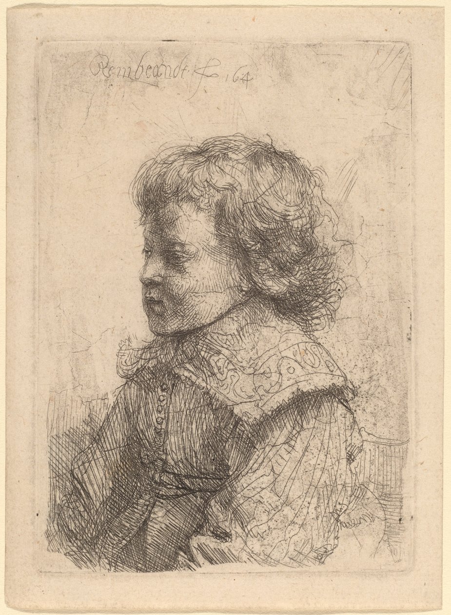 Portrét chlapce v profilu od Rembrandt van Rijn