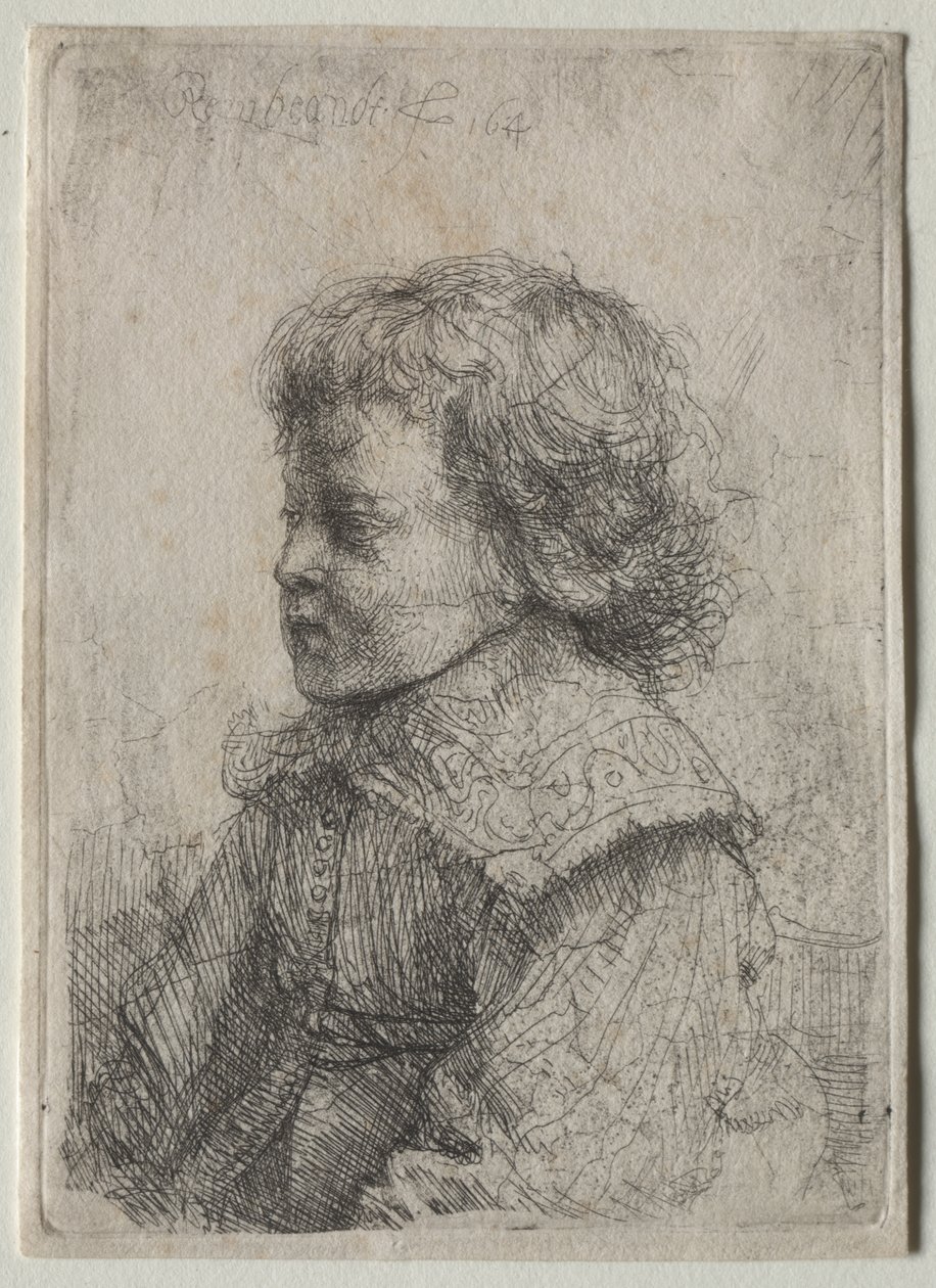 Portrét chlapce v profilu od Rembrandt van Rijn