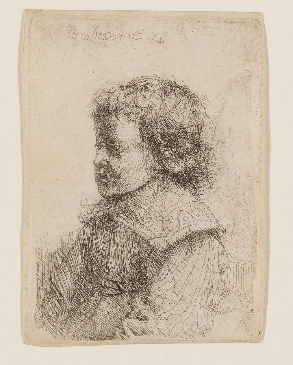 Portrét chlapce z profilu od Rembrandt van Rijn