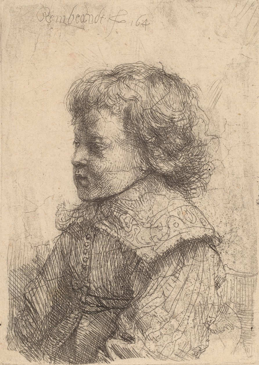 Portrét chlapce z profilu, 1641. od Rembrandt van Rijn