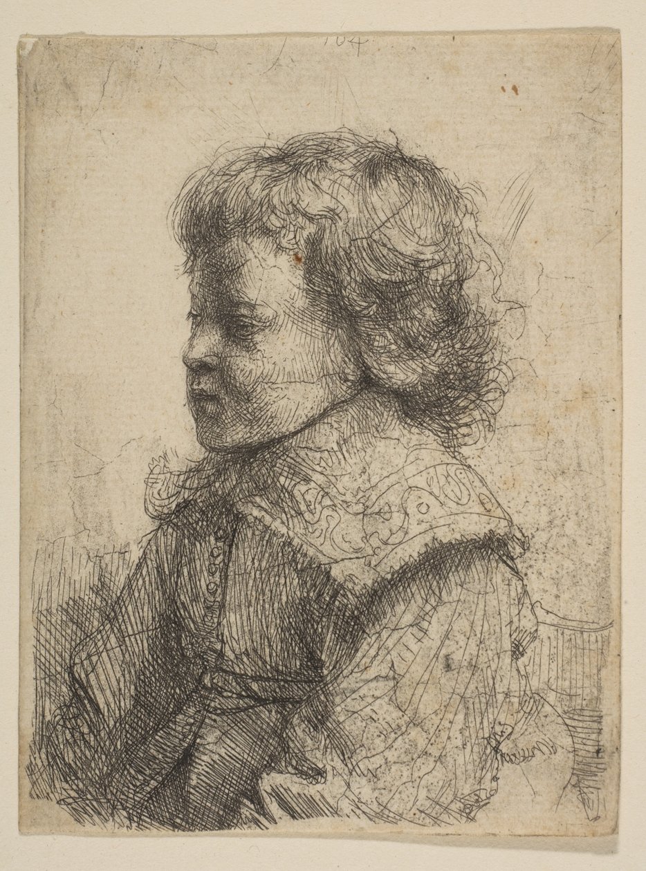 Portrét chlapce, v profilu, 1641. od Rembrandt van Rijn
