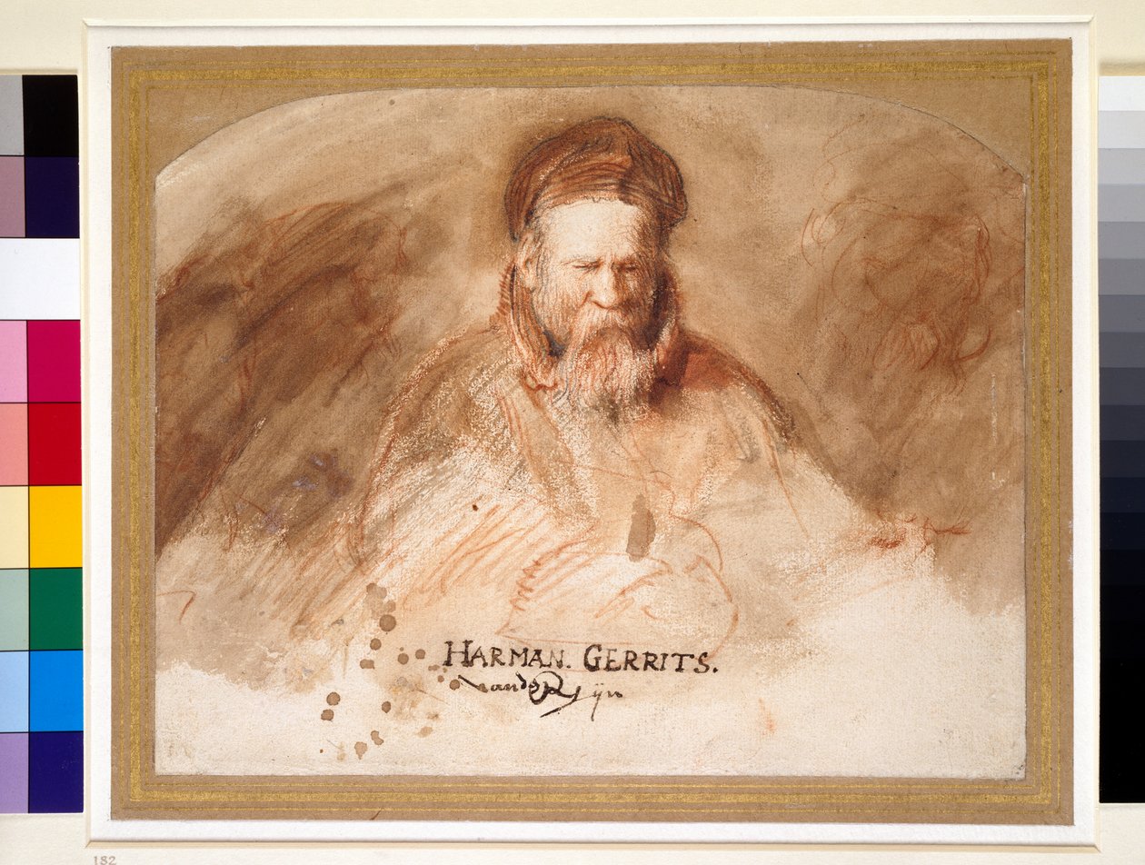 Portrét starého muže, 17. století (praní křídou a bistrem) od Rembrandt van Rijn