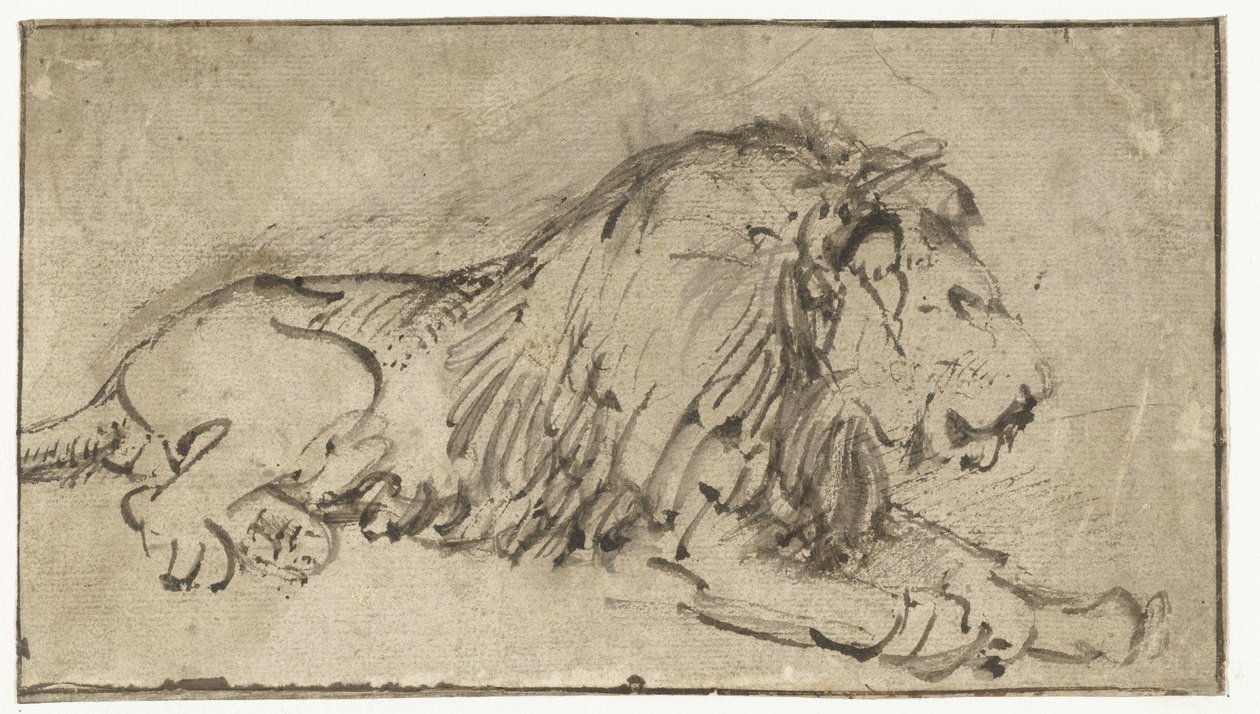 Ležící lev od Rembrandt van Rijn
