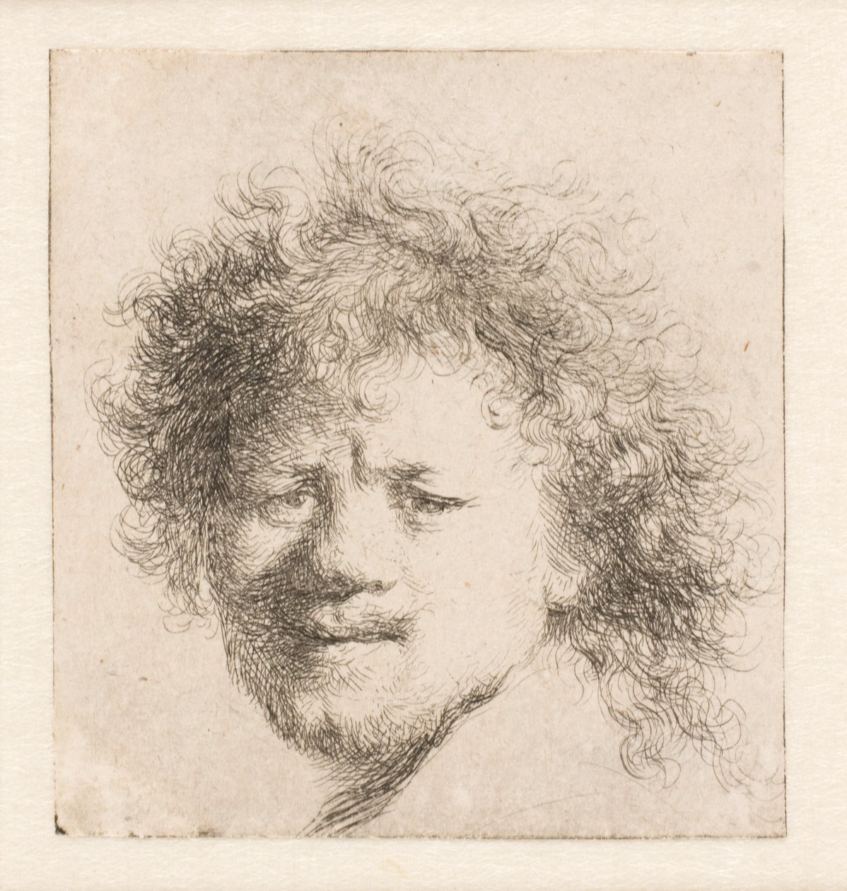 Rembrandt s dlouhými hustými vlasy: pouze hlava od Rembrandt van Rijn