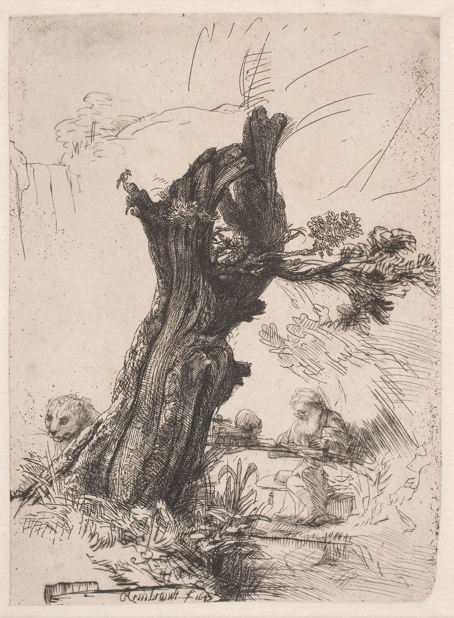 S. Jerome vedle prořezané vrby od Rembrandt van Rijn