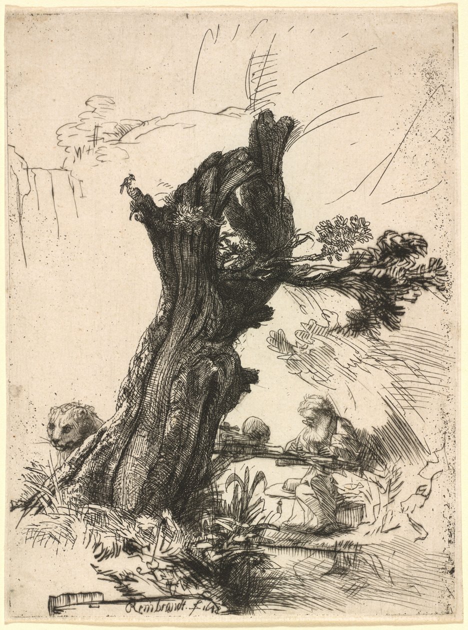 Svatý Jeroným vedle Pollard Willow od Rembrandt van Rijn