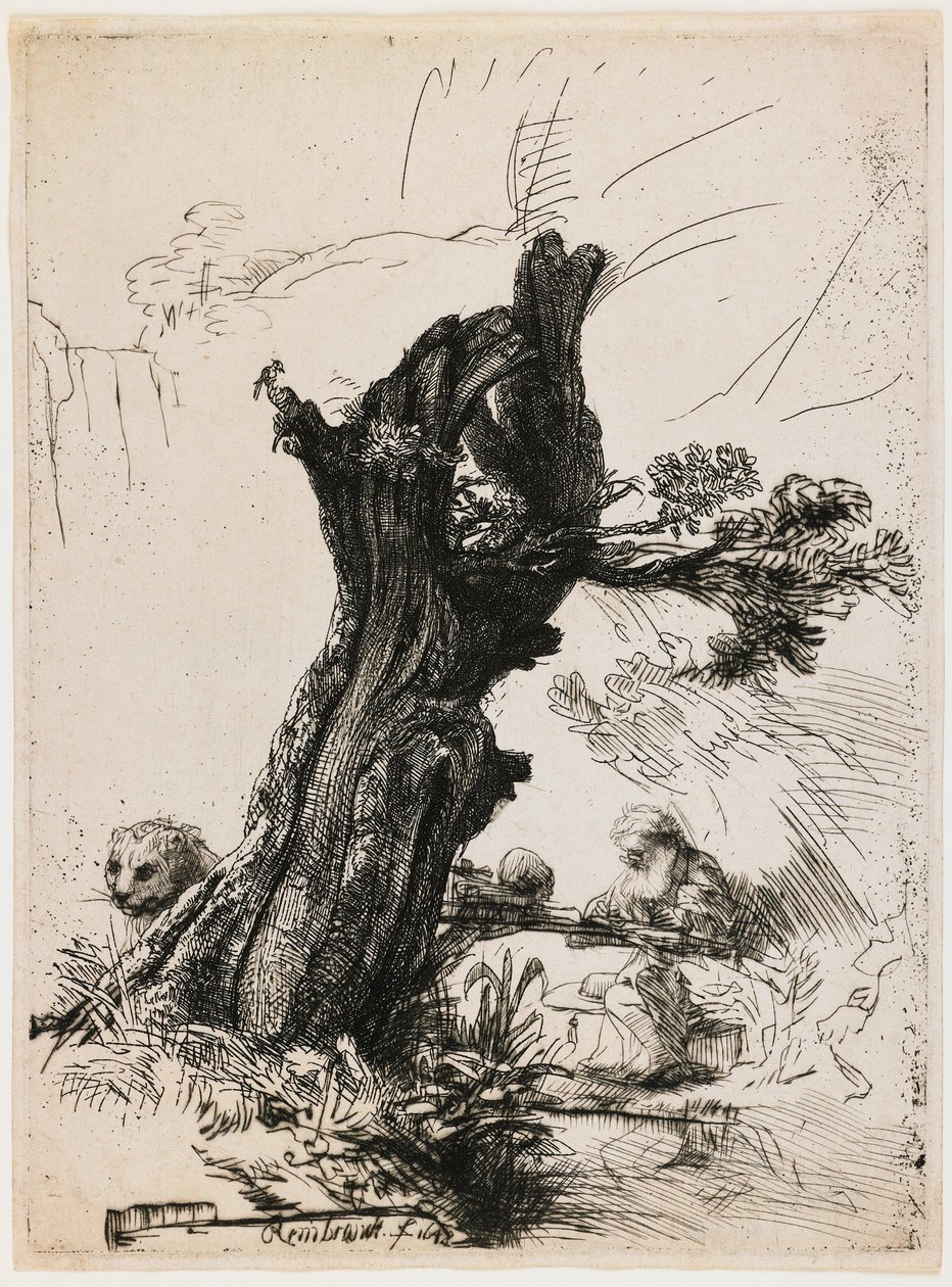 Svatý Jeroným u prořezané vrby od Rembrandt van Rijn
