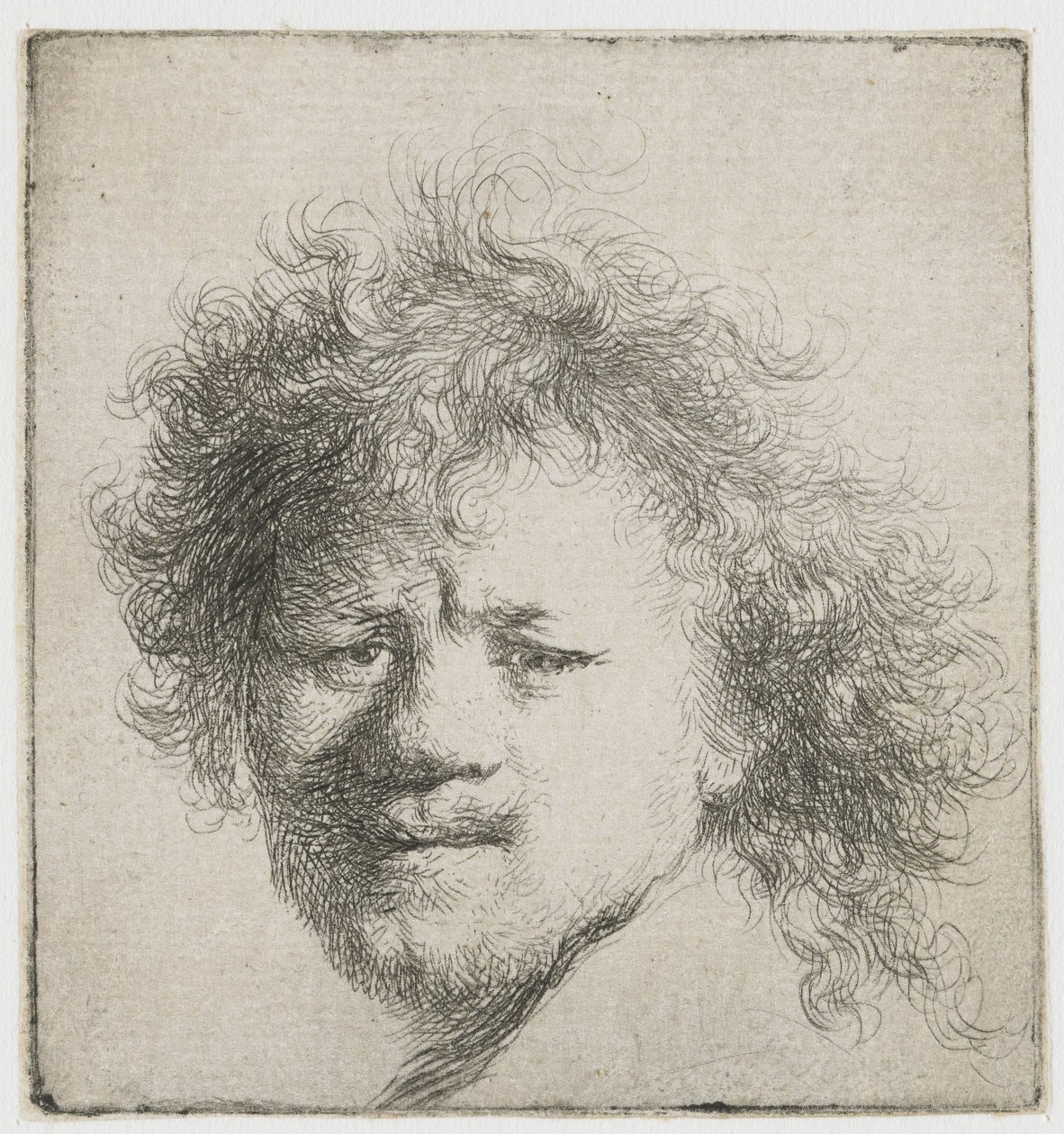 Autoportrét s dlouhými huňatými vlasy: pouze hlava od Rembrandt van Rijn