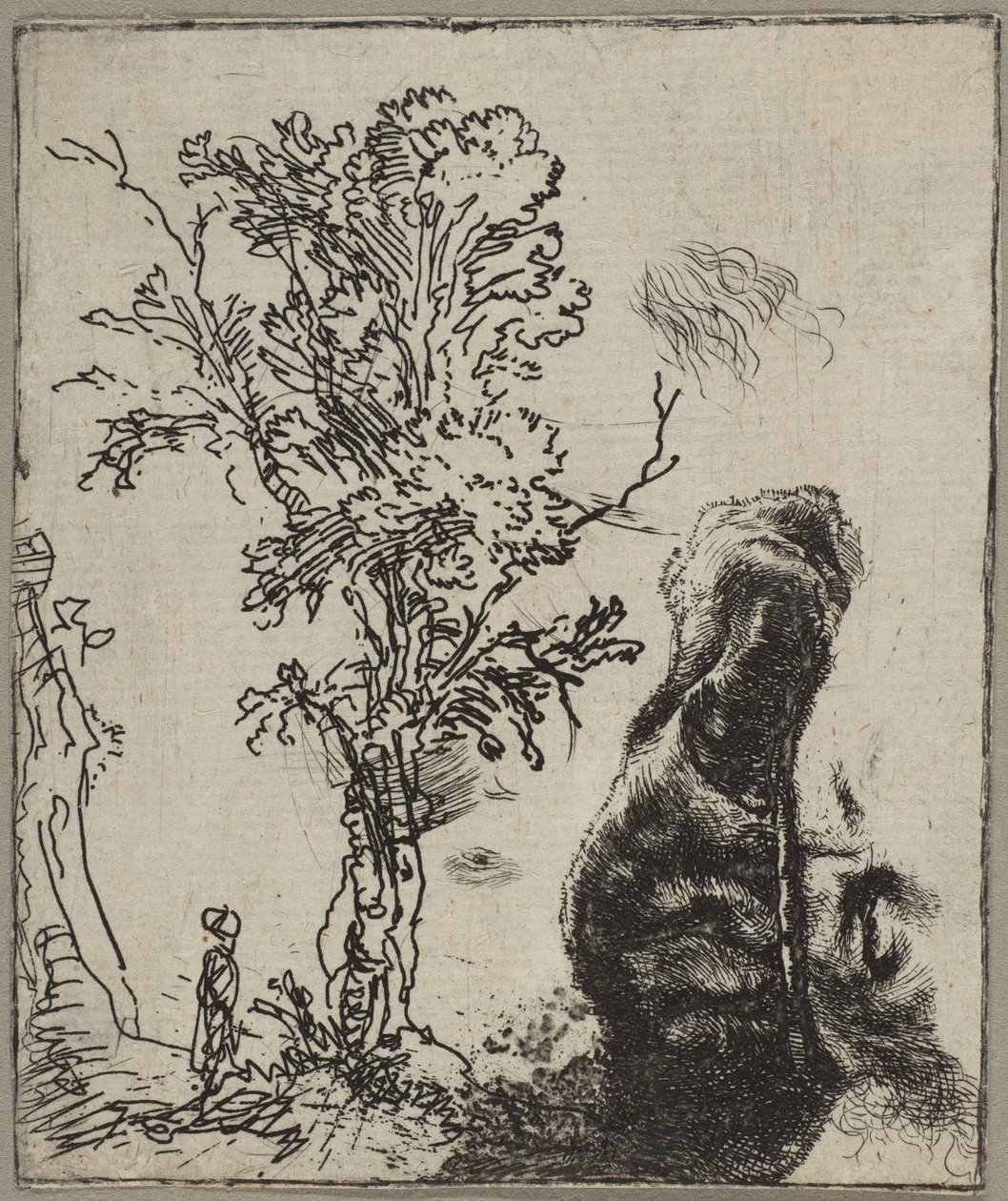 List se dvěma studiemi: Strom a horní část hlavy Rembrandta na sobě Vel..., ca. 1642. od Rembrandt van Rijn