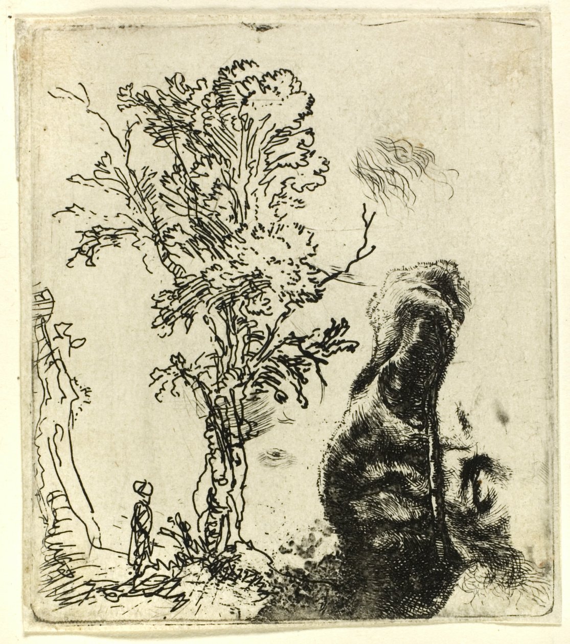 List se dvěma studiemi: Strom a horní část hlavy umělce v sametové čepici od Rembrandt van Rijn