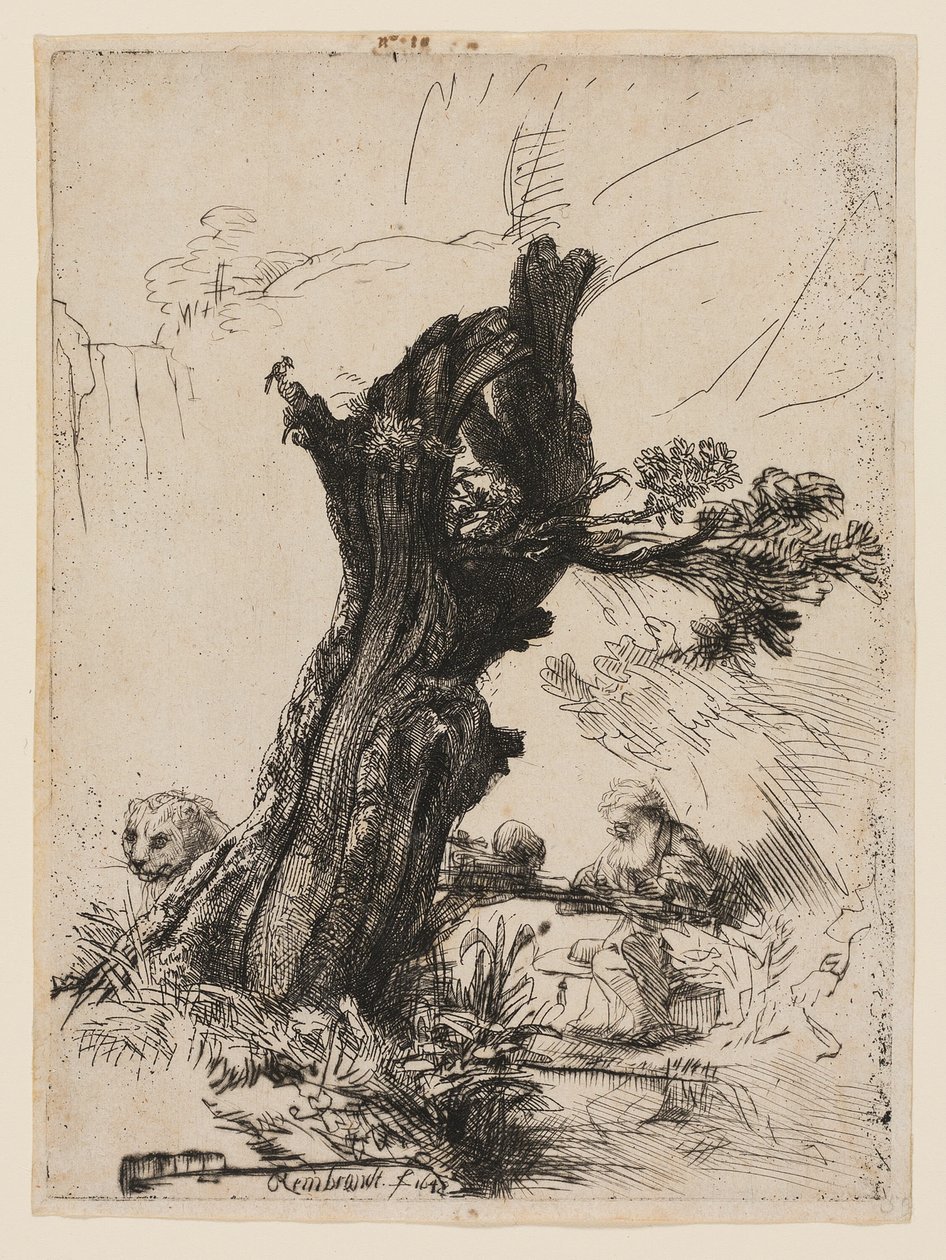 St. Jerome vedle Pollard Willow od Rembrandt van Rijn