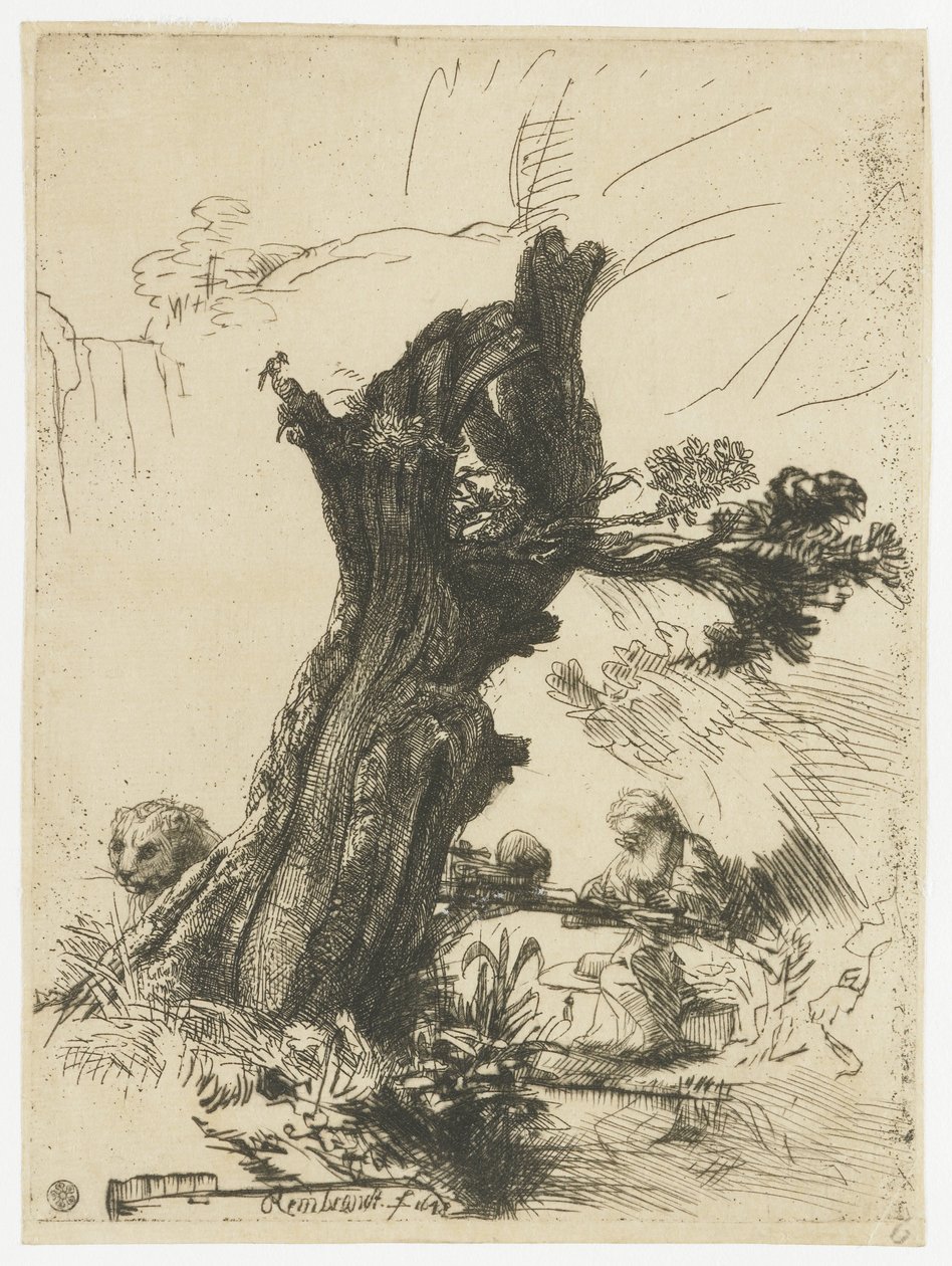 Svatý Jeroným vedle vrby polardové od Rembrandt van Rijn