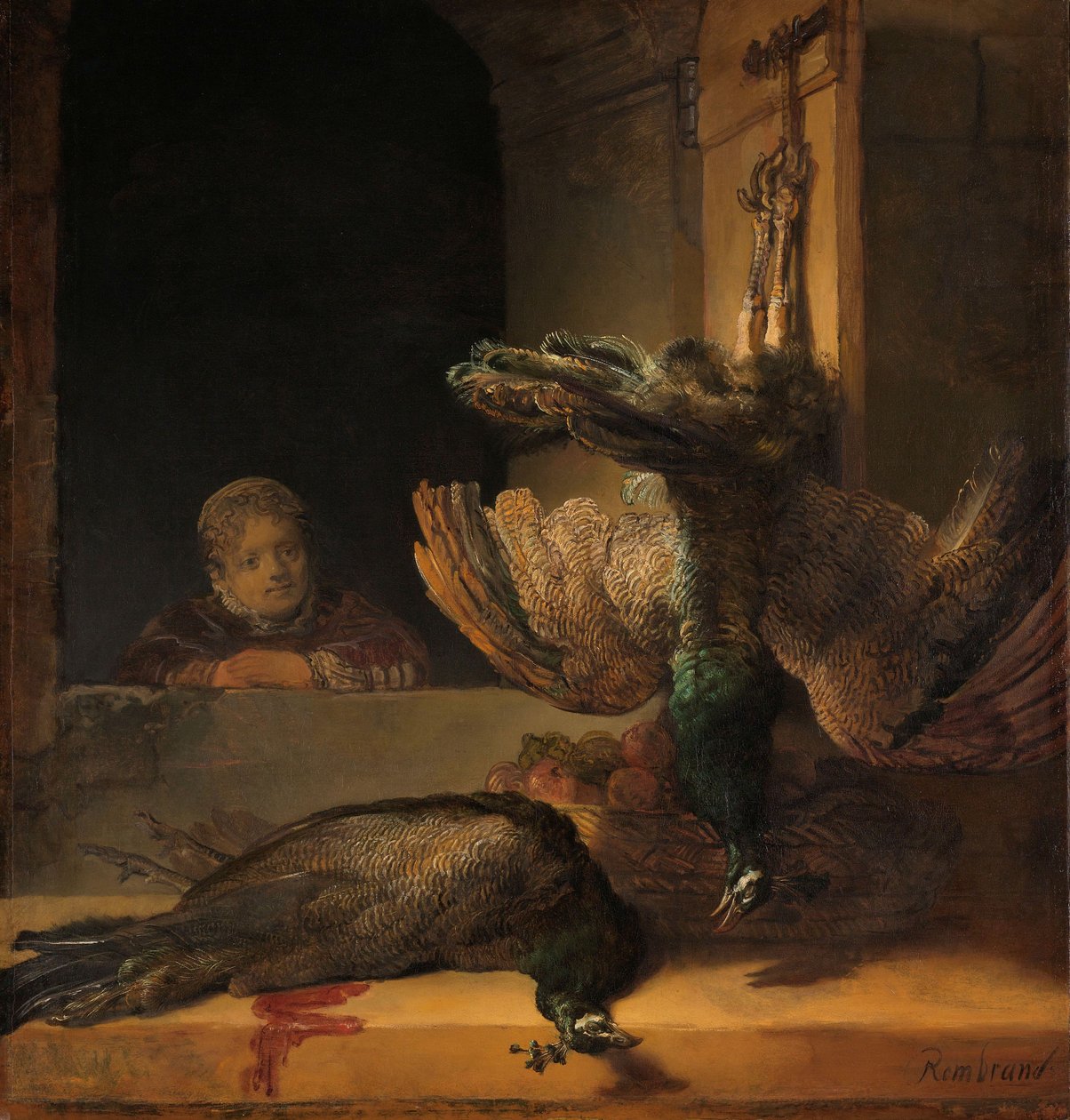 Zátiší s pávy, c.1639 od Rembrandt van Rijn